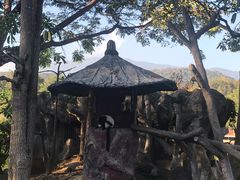 -清迈夜间动物园