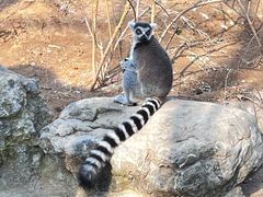 -北京野生动物园