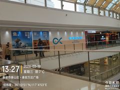 -万达广场(泰安泰山店)