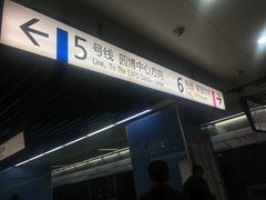 -大龙山(地铁站)