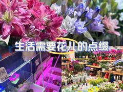 -双季花艺园艺市场(浦东店)