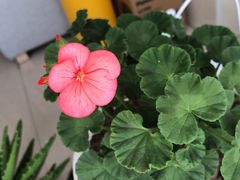 -活鱼馆(宜兴埠店)