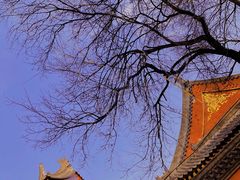 -星巴克(西安曲江银泰店)