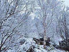 -白草畔自然风景区