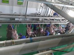 -锡林郭勒盟羊羊牧业股份有限公司
