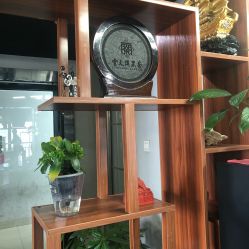 -迪罗造型•潮色接发