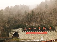 -秦岭风景区