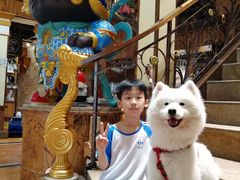 -more than meow吴止猫主题餐厅(承德 中船汇店)