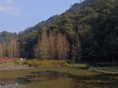 -广州市石门国家森林公园