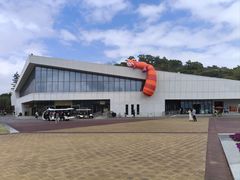 -野狸岛