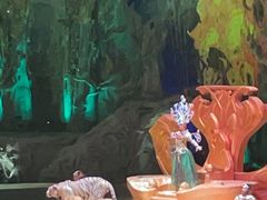 -广州长隆国际大马戏