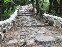 -阳台山自然风景区