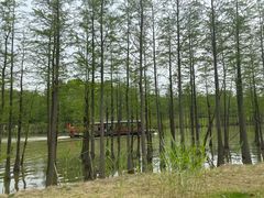 -苏州太湖国家湿地公园