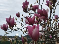 -河源万绿湖美思威尔顿酒店