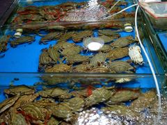 -阿杜海鲜(朝阳店)