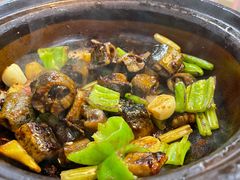 啫啫黄鳝-天宝食坊·啫啫煲大排档(西华路店)