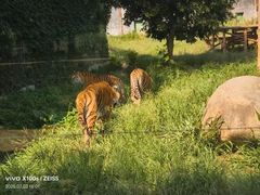 -泉州海丝野生动物世界