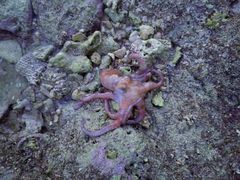 -三亚鹿回头高尔夫球会-停车场