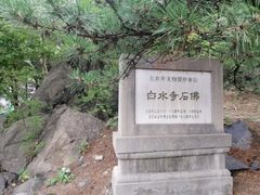 -白水寺森林公园