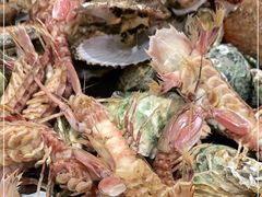 -海岛渔村大酒店(云霄路店)