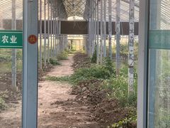 -兰陵国家农业公园