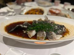 -南麓·浙里(外滩店)