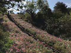 -昆明春城湖畔度假村