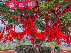 -温州乐园