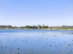 -上海海湾国家森林公园