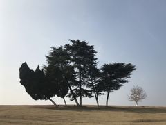 -钟山体育运动公园
