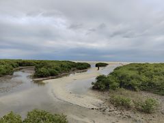 -北海金海湾红树林生态旅游区