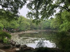 -灵谷景区