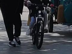 -道路口单车爱瓦士dahon大行