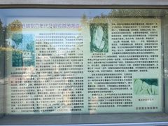 -正定古城-开元寺