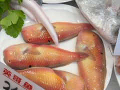 -双生不夜粥