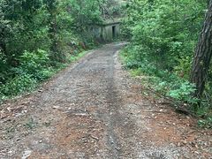 -青龙山国家森林公园