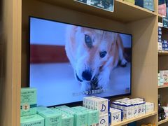 -瑞鹏宠物医院·微创内窥镜·骨外科·牙科(翠竹分院)
