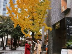 -徐家汇源景区-衡山坊