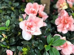 -福州长乐国际机场