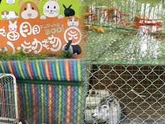 -成都安仁福朋喜来登酒店
