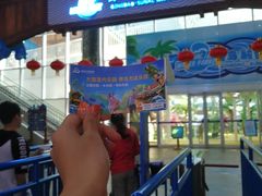 -青岛东方影都融创水世界