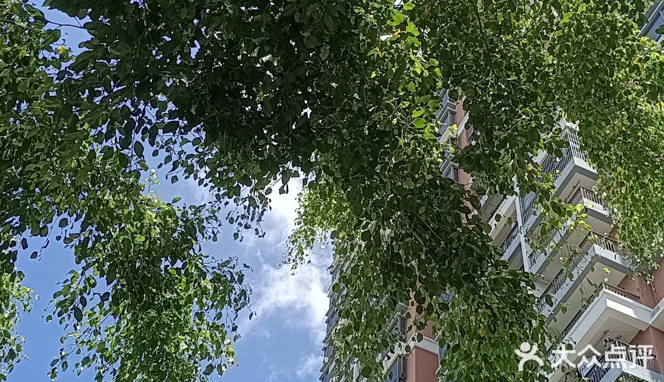 来过很多次了，在我们北方是上车饺子，下车面