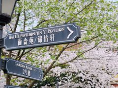 -上海瑞金洲际酒店