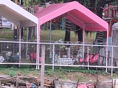 -飞来湖湿地公园