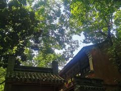 -鸣鹤古镇
