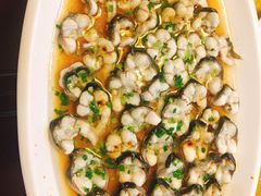 -呼吸森林·生态农庄农家乐私房菜