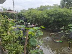 -观宴·品质赣菜(高新大道店)