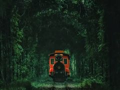 -合肥滨湖国家森林公园