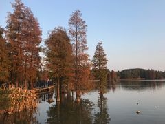 -海珠湖公园