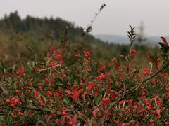 -山王坪喀斯特国家生态公园